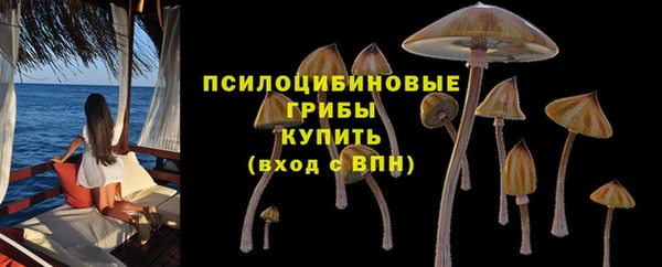 СК Бородино
