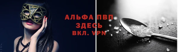 СК Бородино