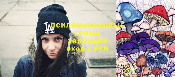 MDMA Богородицк