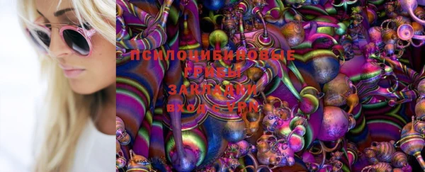 круглые Бронницы