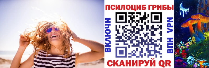 где купить наркоту  Кораблино  KRAKEN рабочий сайт  Галлюциногенные грибы прущие грибы 